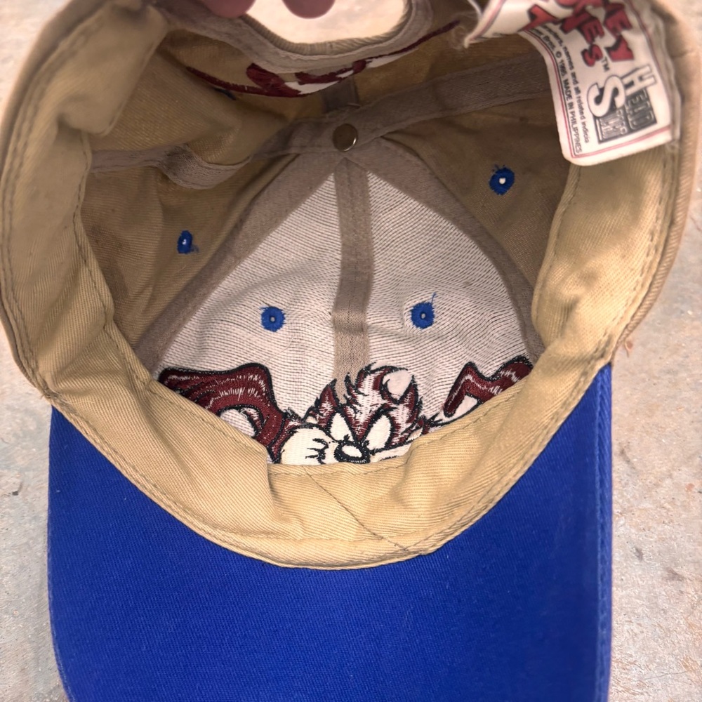 Vintage 1995 Taz Tasmanian Devil Looney Tunes Snapback Hat Head Start 90s Cap - Picture 4 of 6